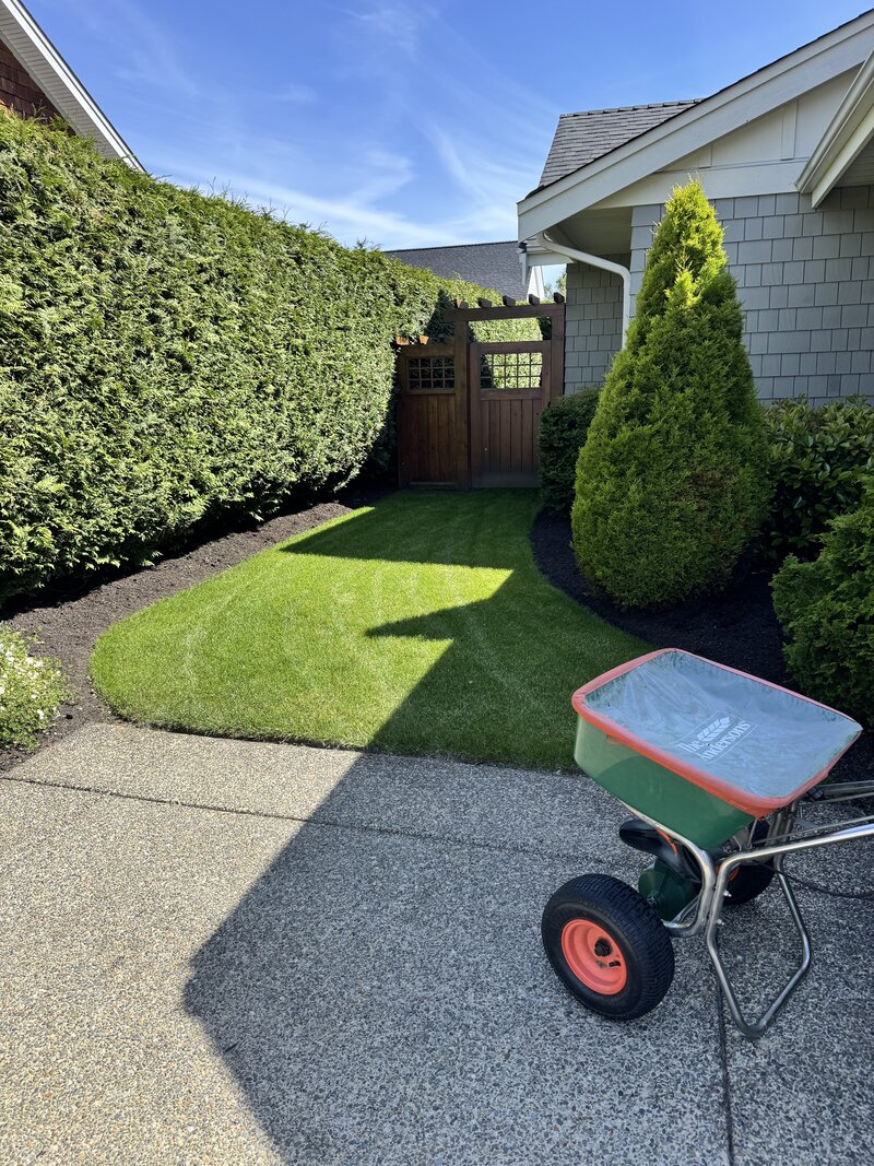 Manicured garden and lawn care by Elite on Vancouver Island