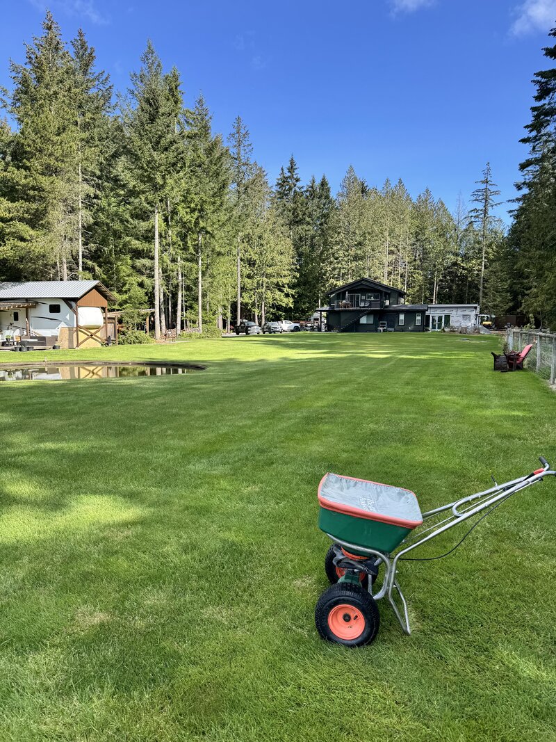 Elite Lawn Care spreader on a freshly treated Vancouver Island lawn
